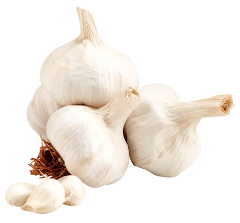 Garlic Pack Pack Of 4